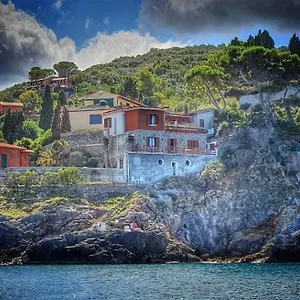 Flora Argentario , Porto Santo Stefano (Grosseto) Italia