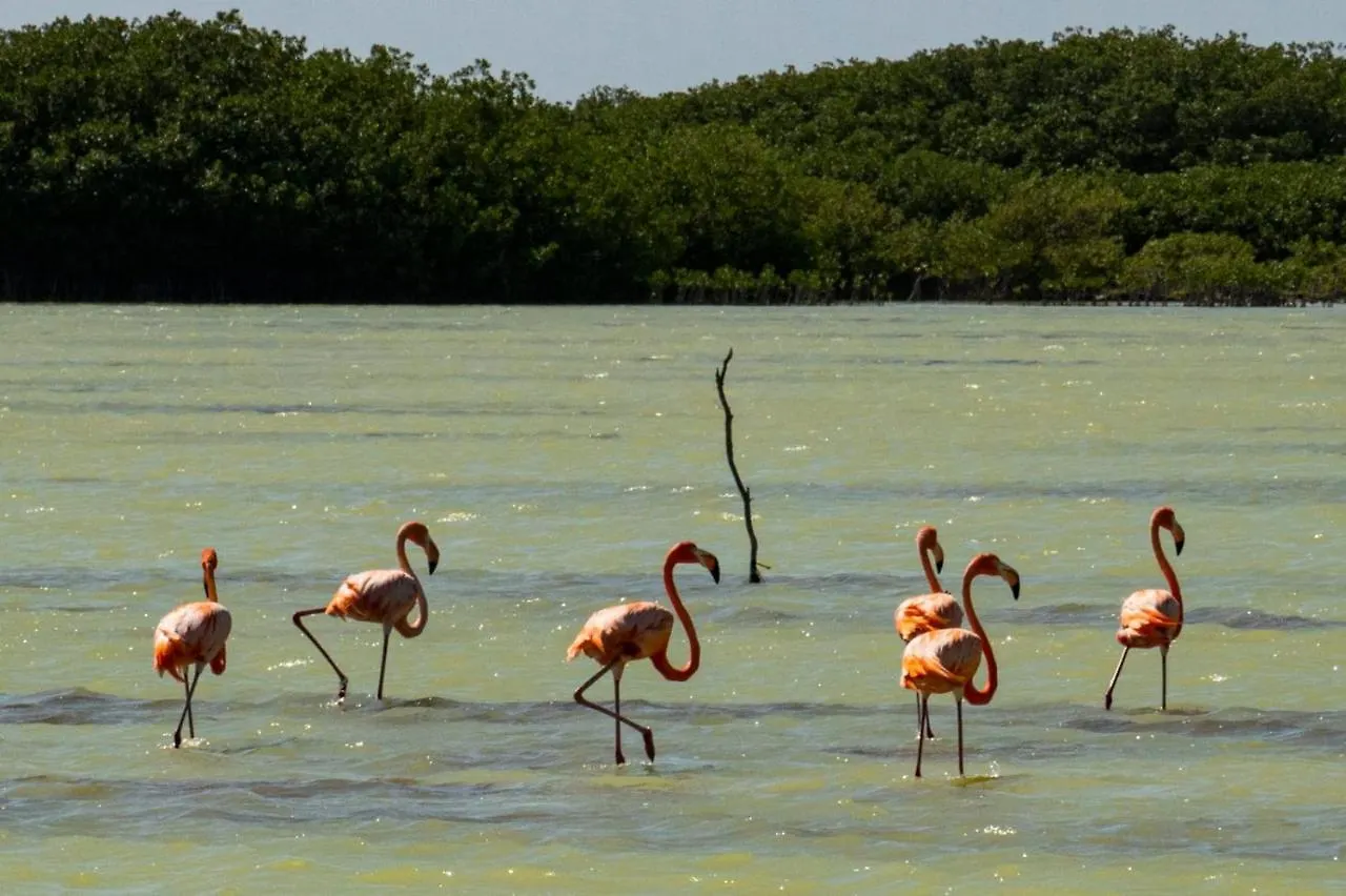 El Aplatanao Hotel Pedernales